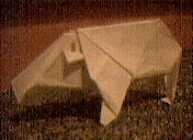 Gefaltetes Papierschweinchen